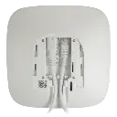 detalle4.webp