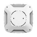 detalle2.webp
