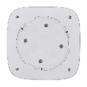detalle3.webp